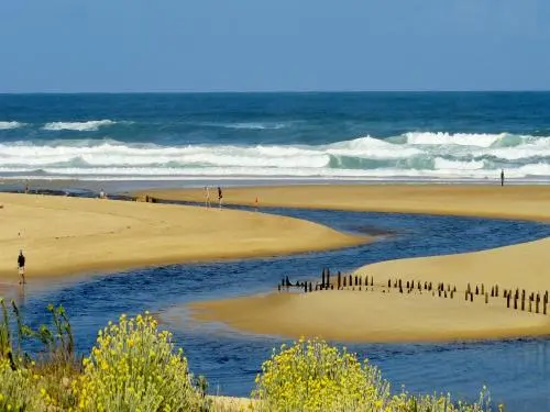 Private transfer service to Biarritz Airport Transfer to Moliets-et-Maa
